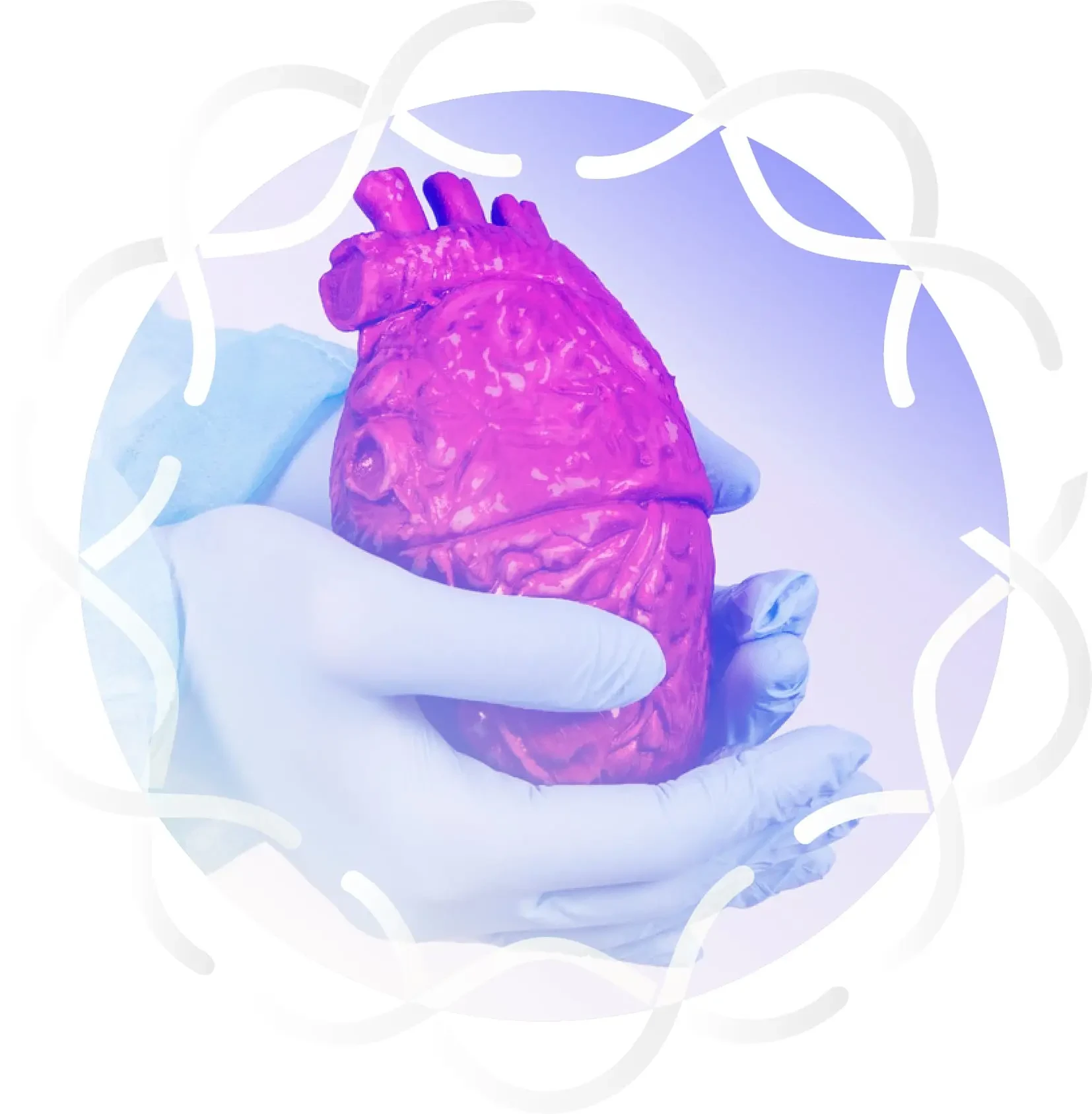 blog img