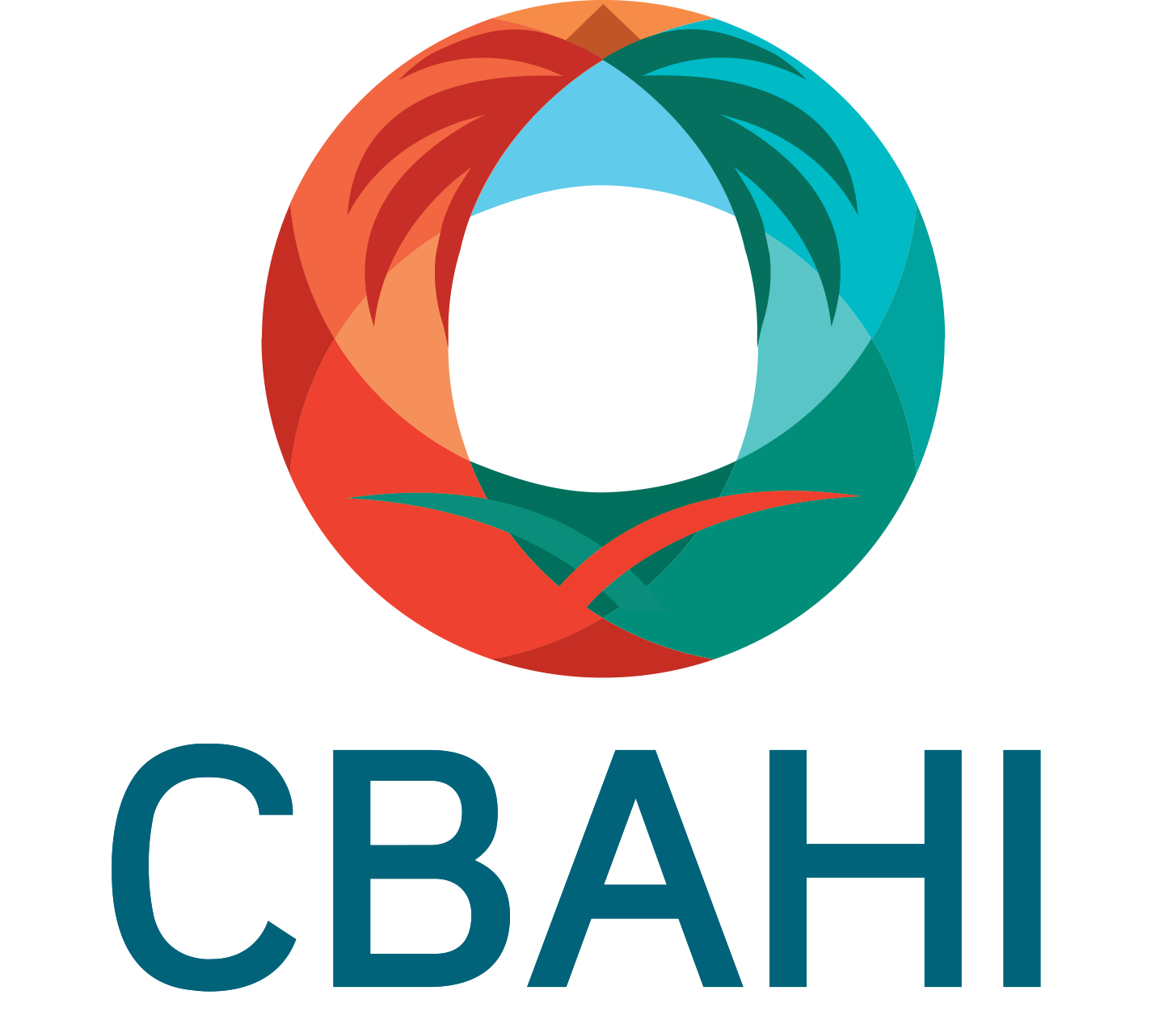logo- cbahi -2022-1